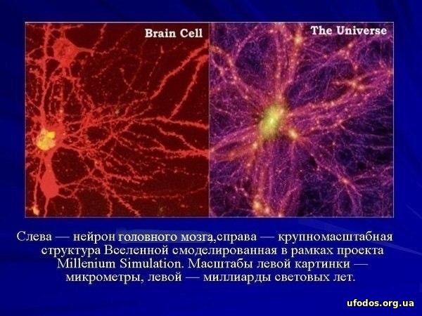 Сравнение мозга и Вселенной