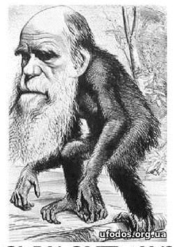 Дарвин врет: обезьяна — не предок нам. Имя ее как доказательство