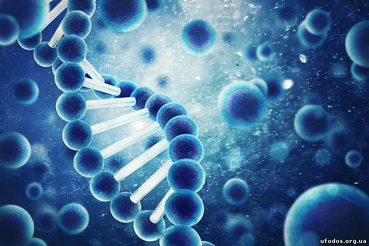 Генетическая информация – программа жизни сложных биологических систем